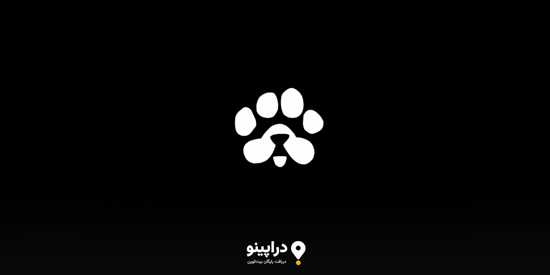 ‌ایردراپ پاز (PAWS) از جدید ترین ایردراپ ها 